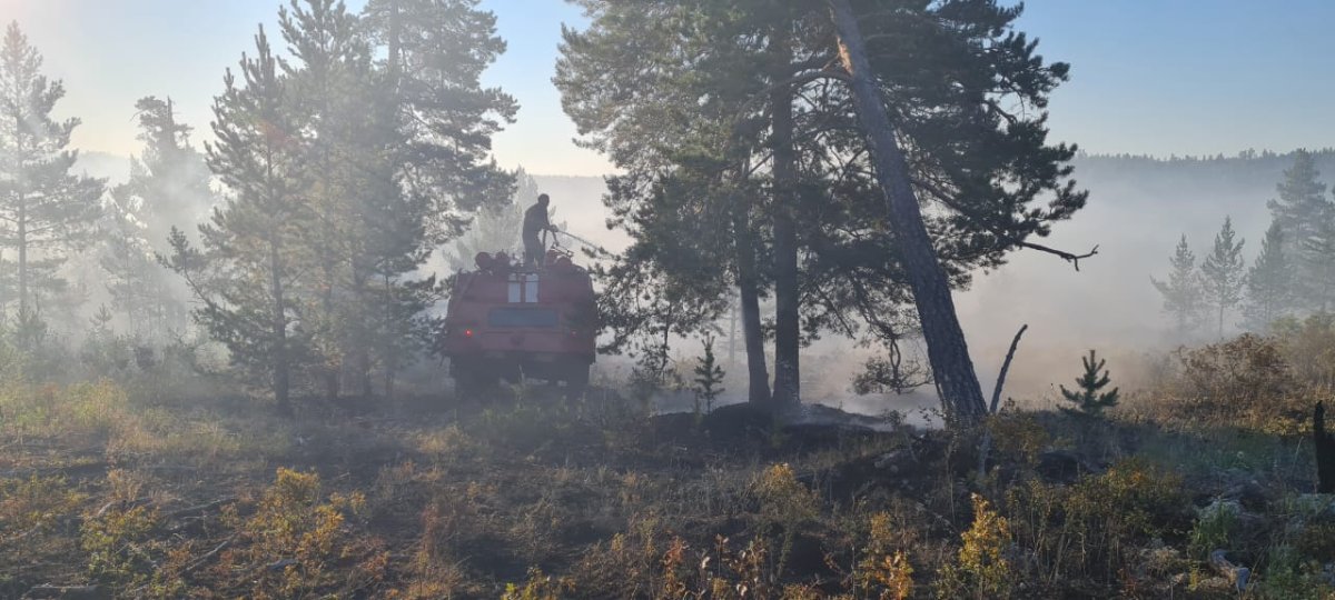 Очередной лесной пожар вспыхнул в ВКО