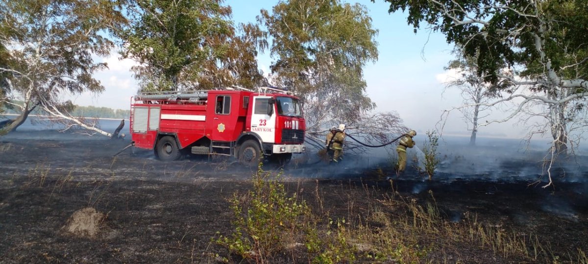Степной пожар едва не уничтожил посевы зерновых в Костанайской области