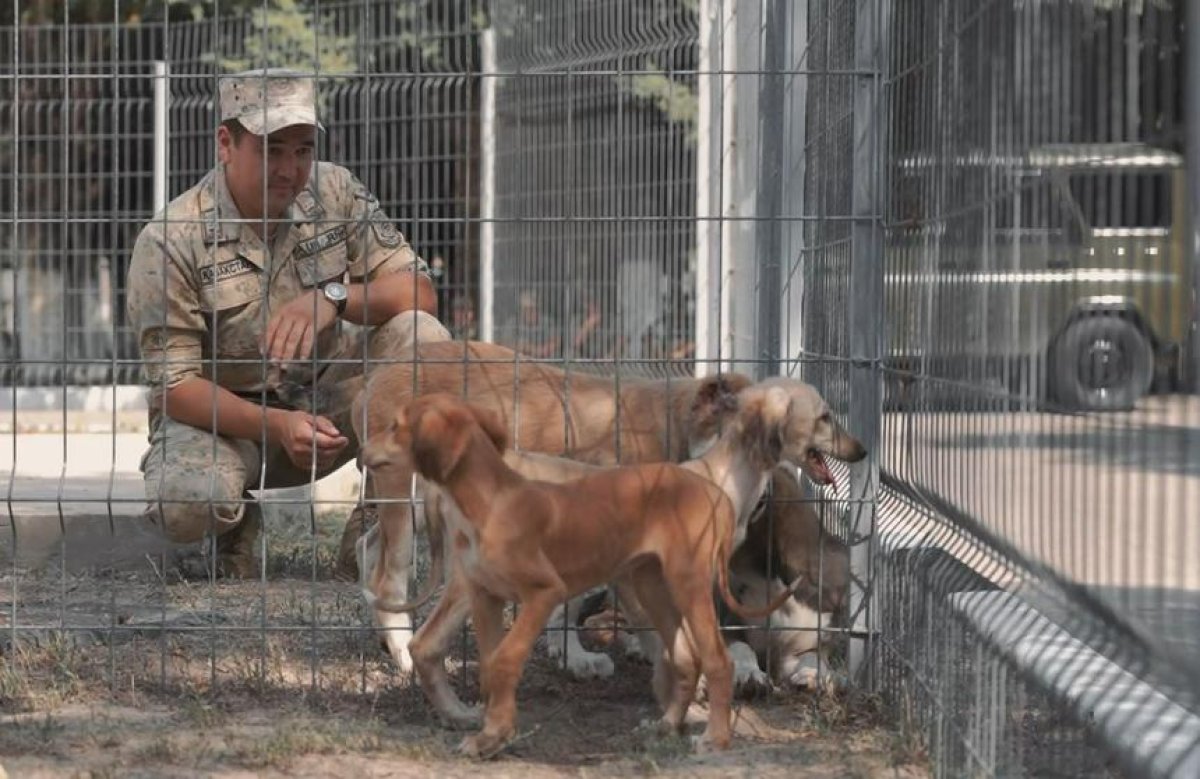 Тазы и тобет намерены привлечь для охраны границ Казахстана