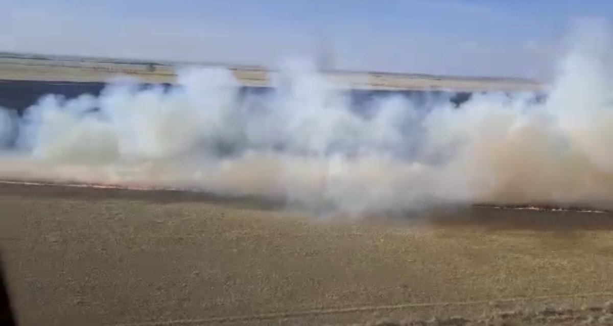 Заповедник горит в Костанайской области