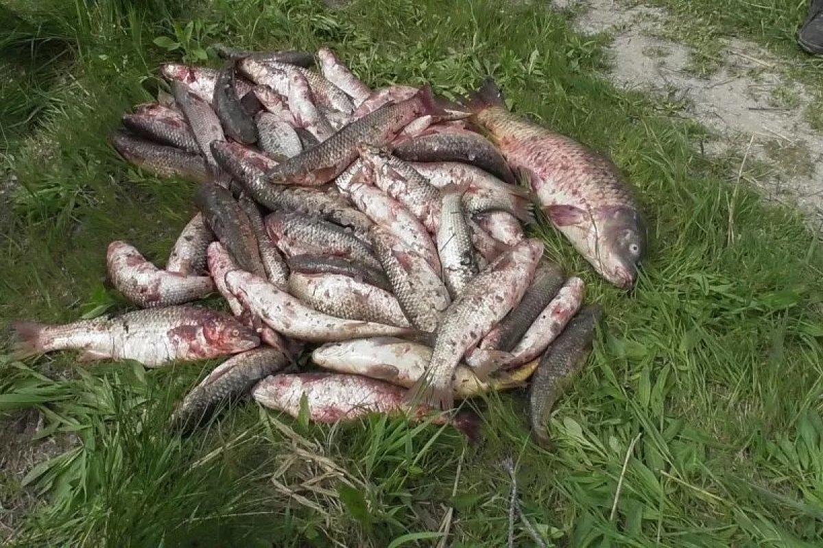 Ловил на «ракету»: за незаконную рыбалку осудили жителя ВКО