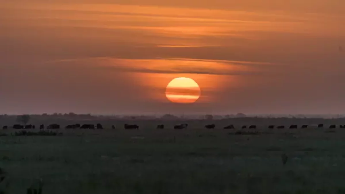 Жамбыл облысының 6 ауданында төтенше жағдай жарияланды
