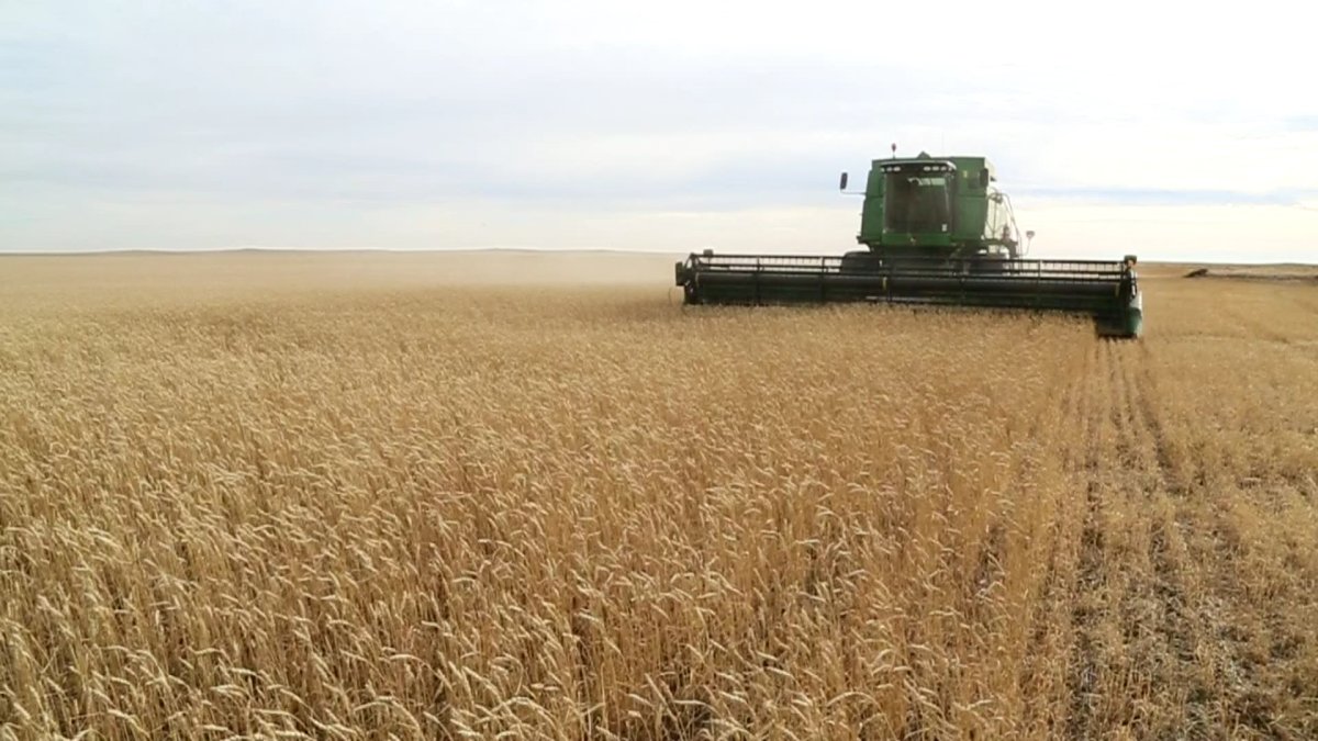 Хватит ли хлеба казахстанцам и сколько он будет стоить в этом году -  рассказали в правительстве