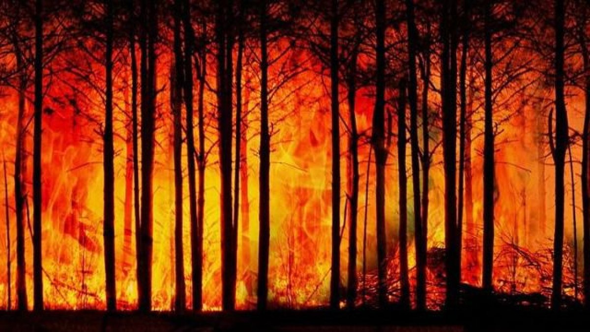 Түркияда орман өрті бірнеше ауылды шарпыды