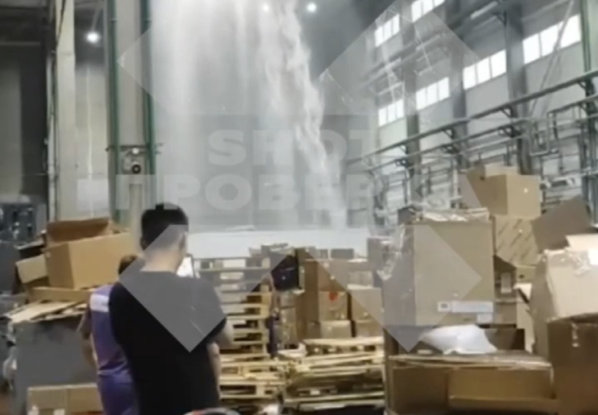 Казахстанским покупателям Wildberries могут «приехать» промокшие товары