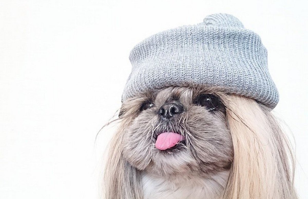 Грозы и похолодание до +7 градусов обещают синоптики к концу недели