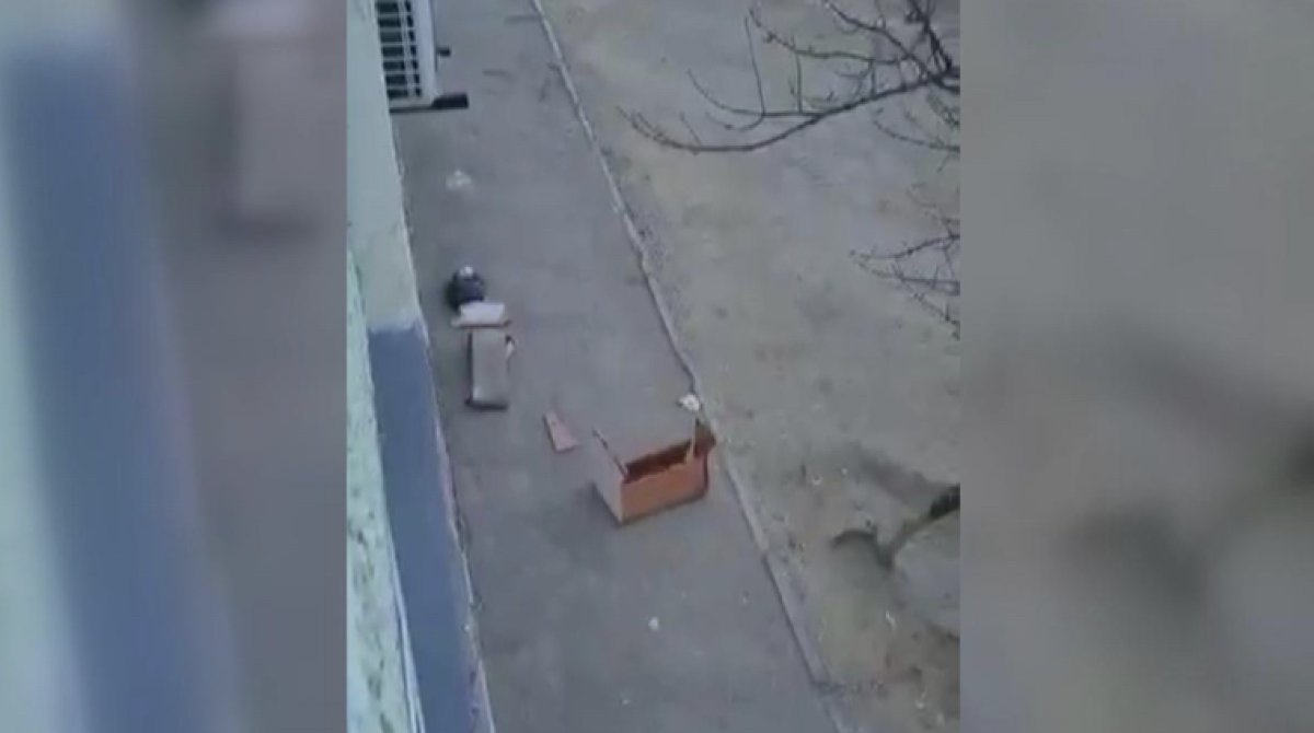 Диван выбросили с балкона на жителя Актау: мужчина скончался
