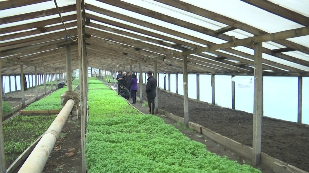 Кәсіпкерлікті дамытуға арналған ұлттық жобалар жоспарына сәйкес Ақтөбе облысында 53 мың адам жұмыспен қамтылады