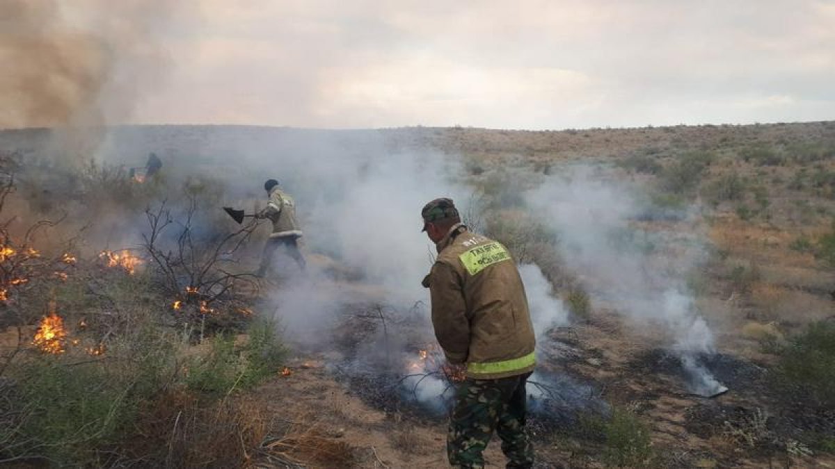 Пожар разгорается в Жамбылской области