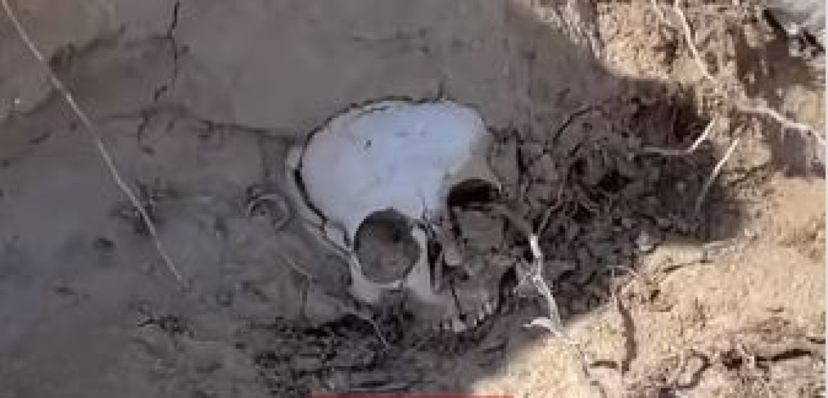 В Мангистау в степи обнаружили человеческие останки