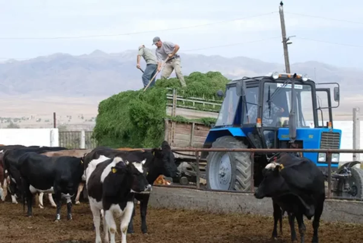 Тоқаев: Агроөнеркәсіптегі өңделген өнім үлесін үш жылда 70%-ға жеткізуіміз керек