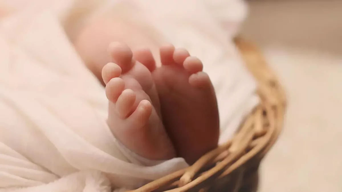 Туған қызының нәрестесін сатпақ болған қызылордалық әйел күдікке ілінді