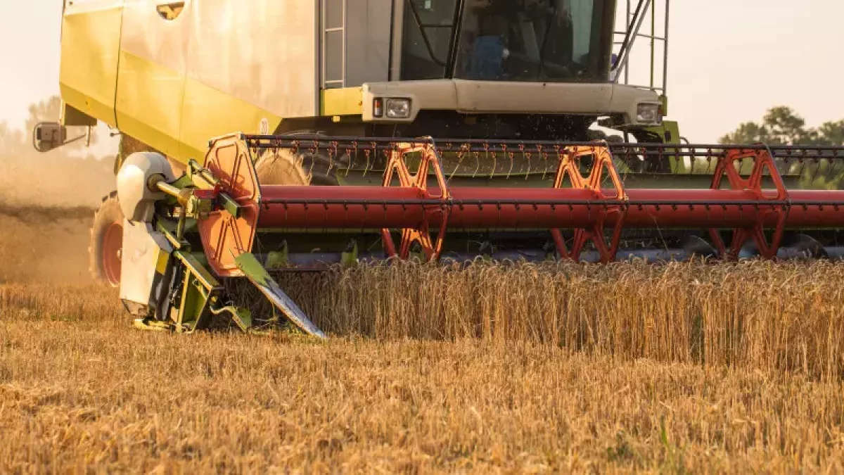 Ақмолада егін орағы тоқтап қалды: шаруалар шығынға белшесінен батты