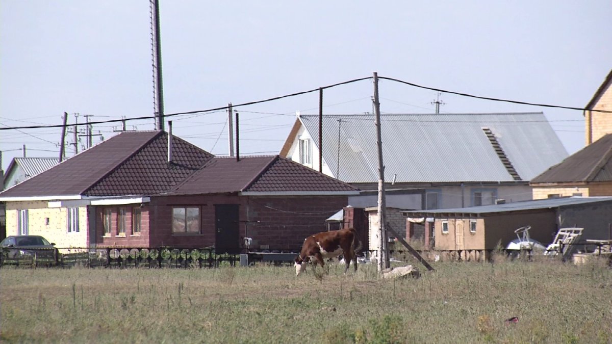 Карьер жыры: қаражарлықтар "AMANAT" партиясынан көмек сұрайды