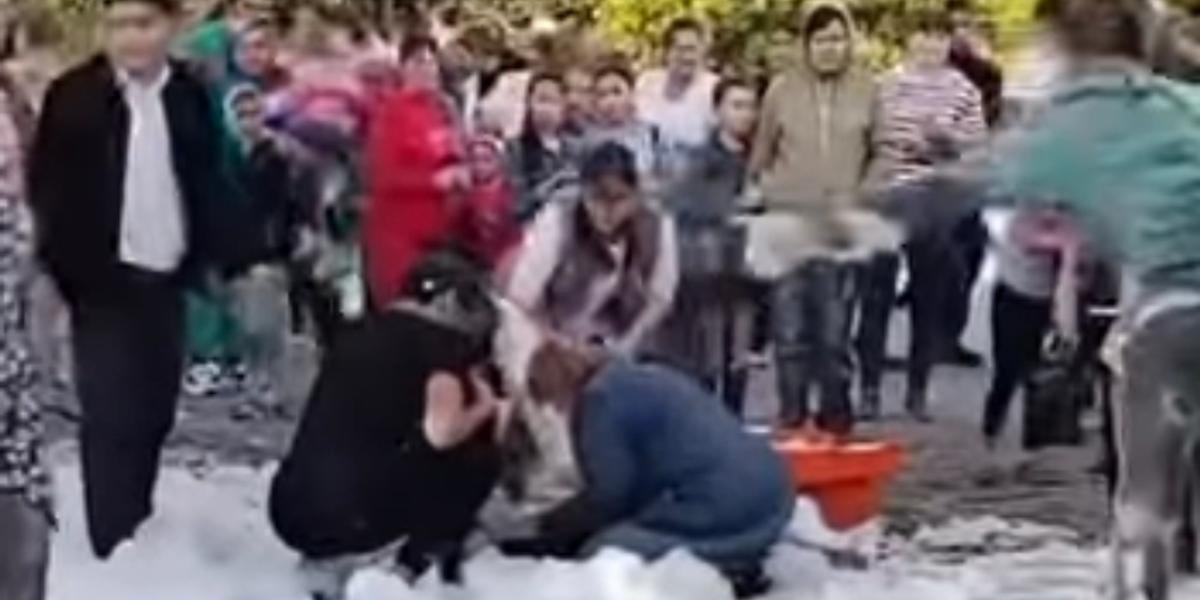 Удар током на пенной вечеринке в Костанайской области: девочка скончалась