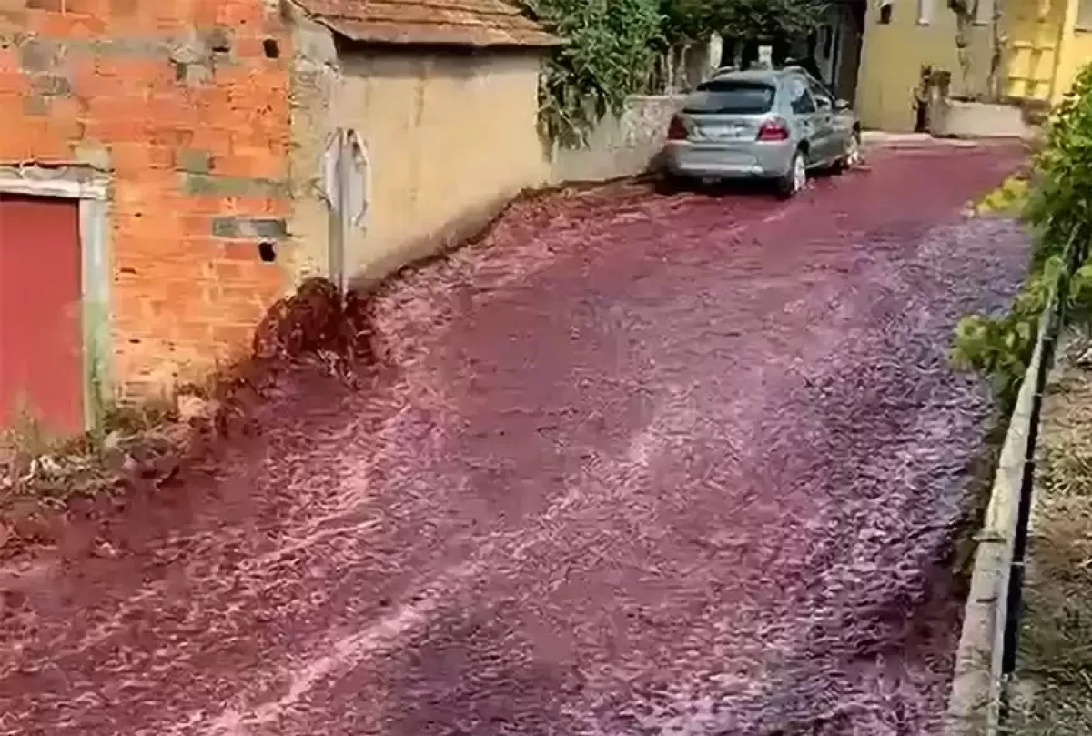 Португалияда 2,2 млн литр ішімдік көшеге төгілді