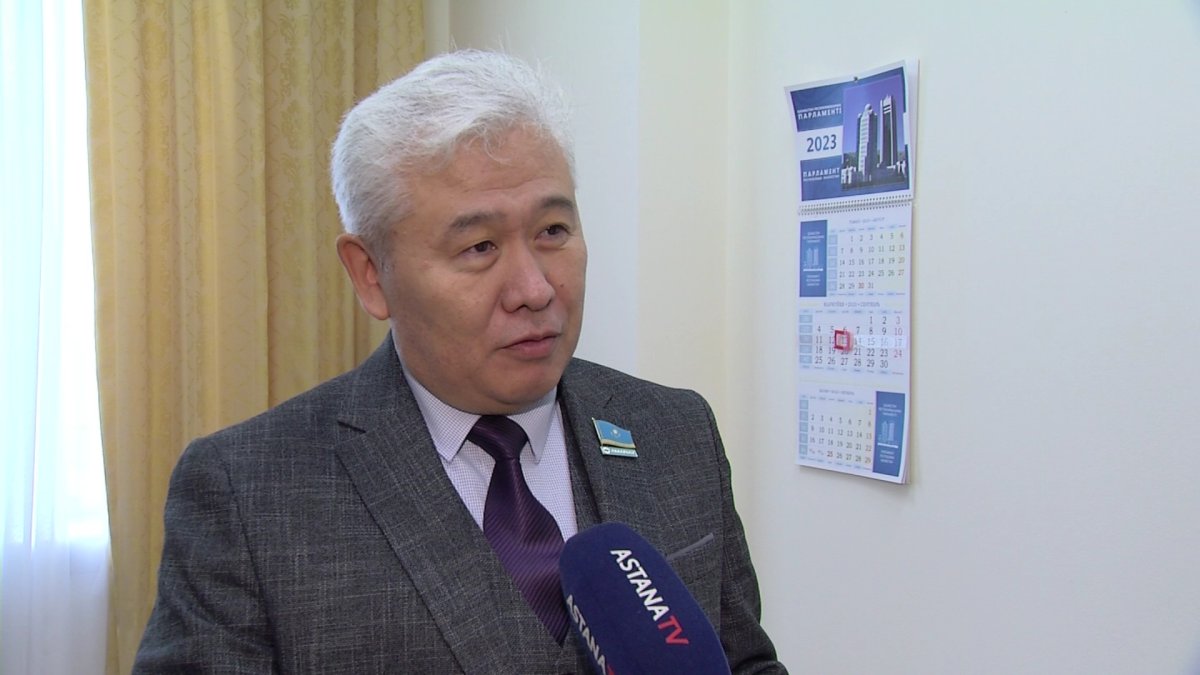 «Жолдау Қазақстанның экономикалық моделін өзгертеді», - депутат