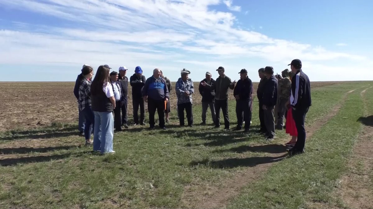 Павлодар облысы Ақтоғай ауданында үш бірдей ауыл халқы мал жаятын жер таппай отыр