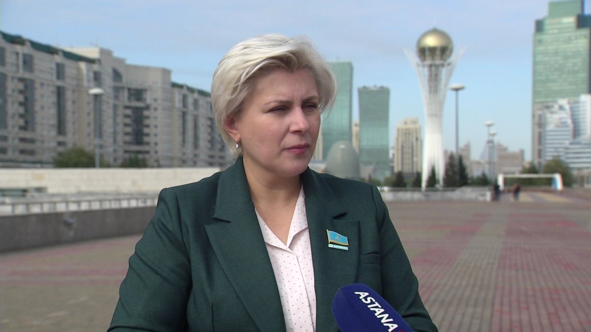 "Ұлттың тағдырына деген жауапкершілікті әрбір қазақстандық сезіне білуі керек", - тарихшы