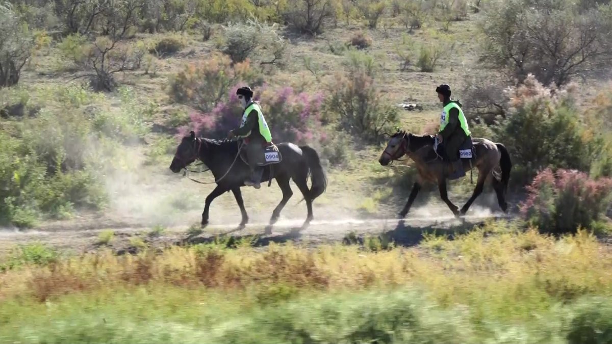 "Ұлы дала жорығы" "Рекорд" командасына қомақты қаржылай сыйлық бекітілді