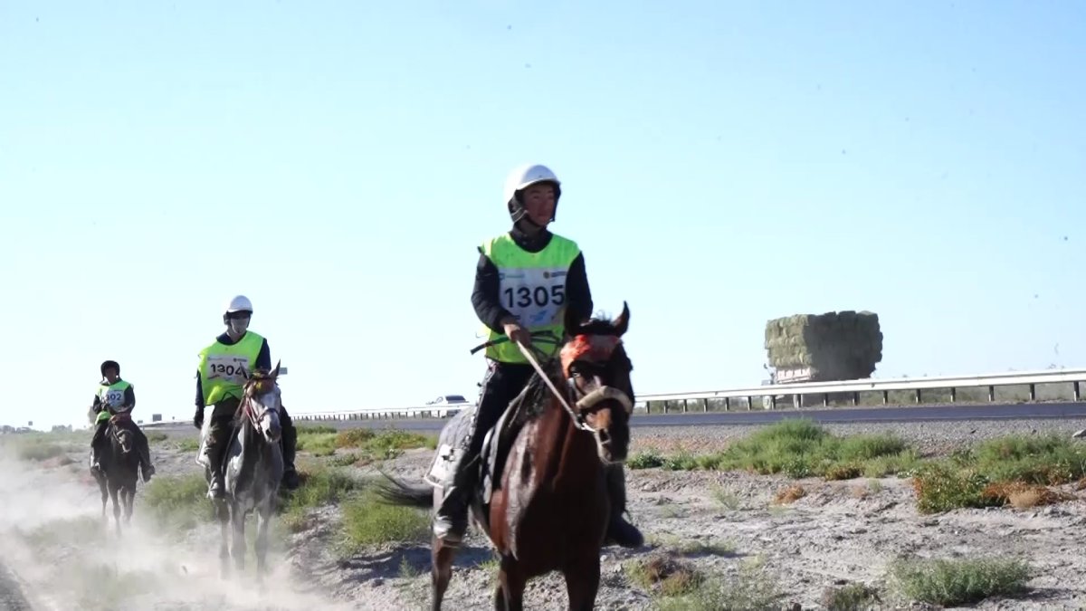 Команды из Туркестанской и Костанайской областей выбыли из марафона «Ұлы дала жорығы»
