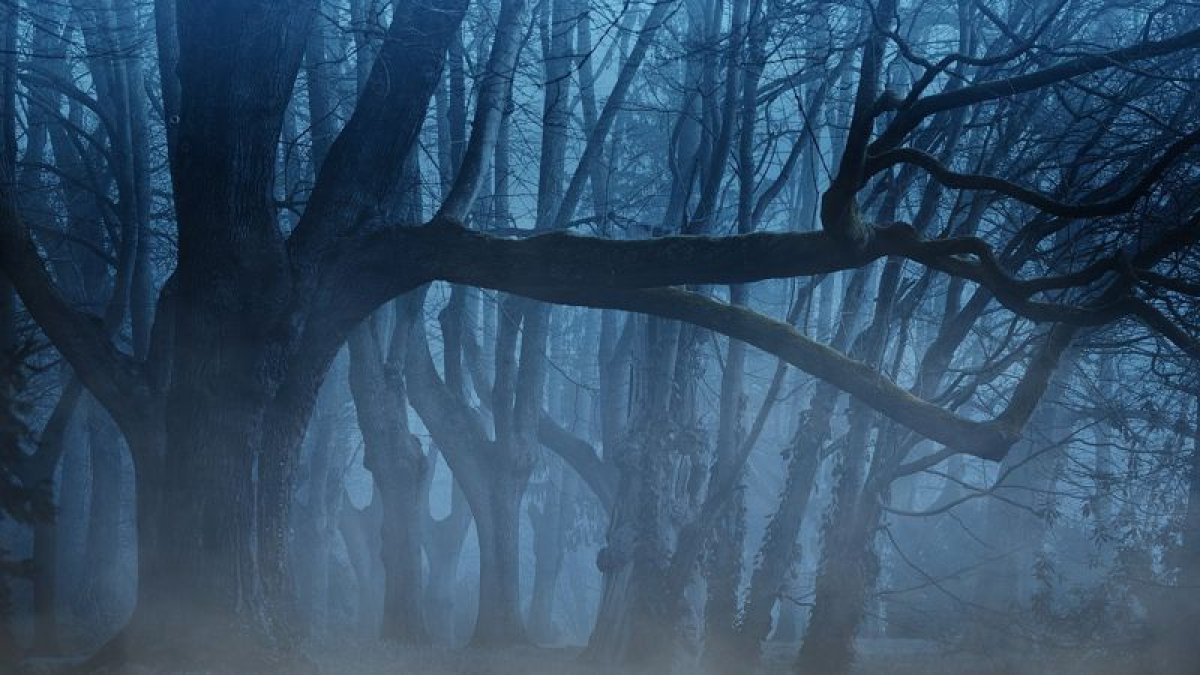 Екпінді жел мен тұман: Қазақстан бойынша19 қыркүйекке арналған күн райы болжамы