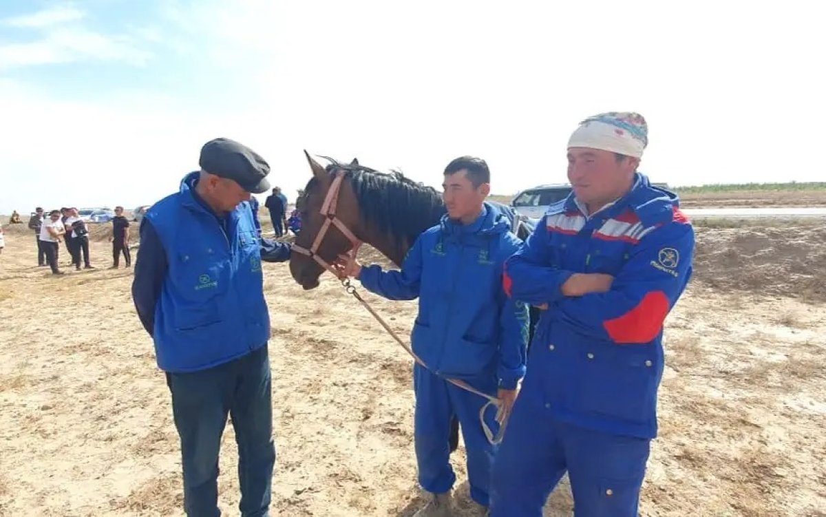 Ұлы дала жорығында маңғыстаулық шабандоз рекорд жасады