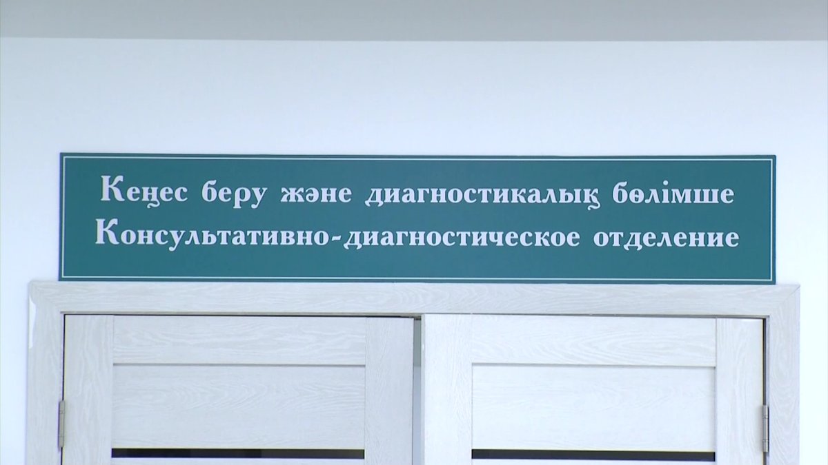 Алматыда 73 жастағы кейуана аурухананың лифт шахтасына құлап кетті