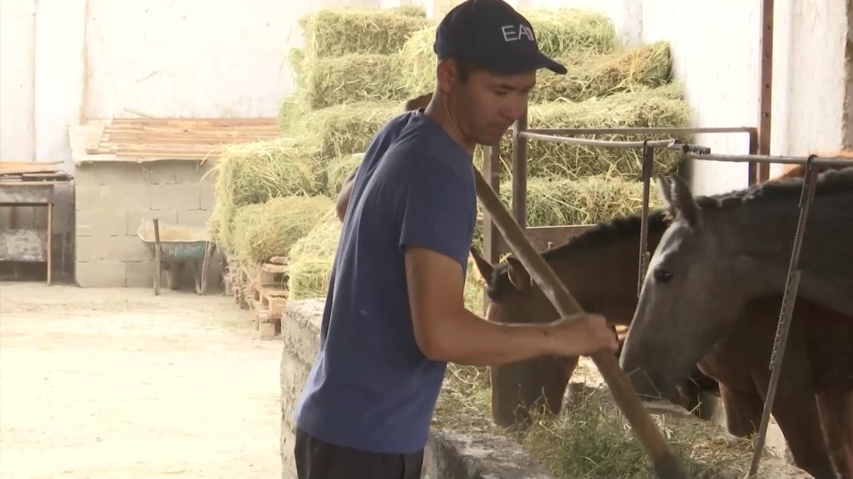 Более двух тысяч проектов профинансировано в ходе программы «Ауыл аманаты» в Туркестанской области