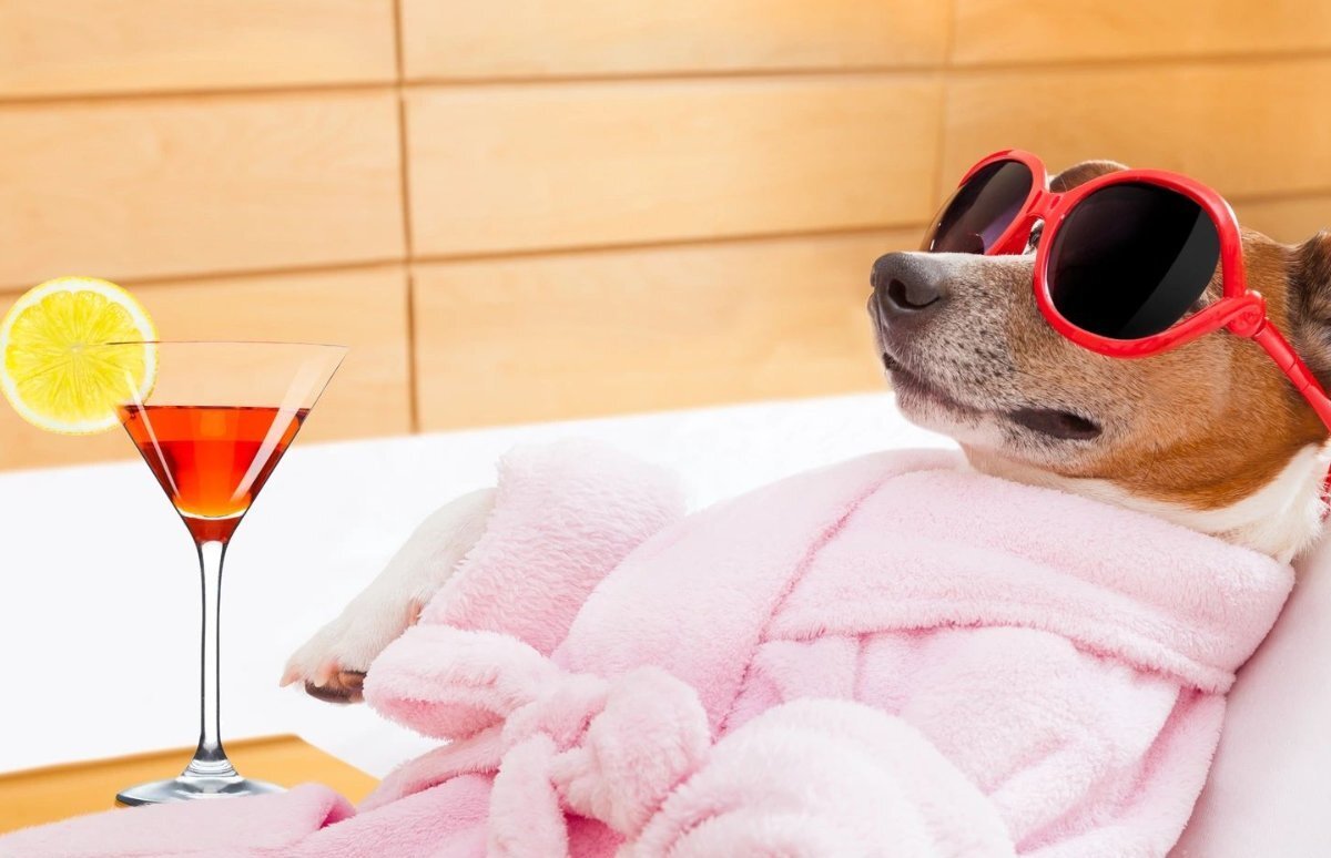 У Близнецов удачные приобретения, Раки "на расслабоне": что сулят звёзды 2 сентября