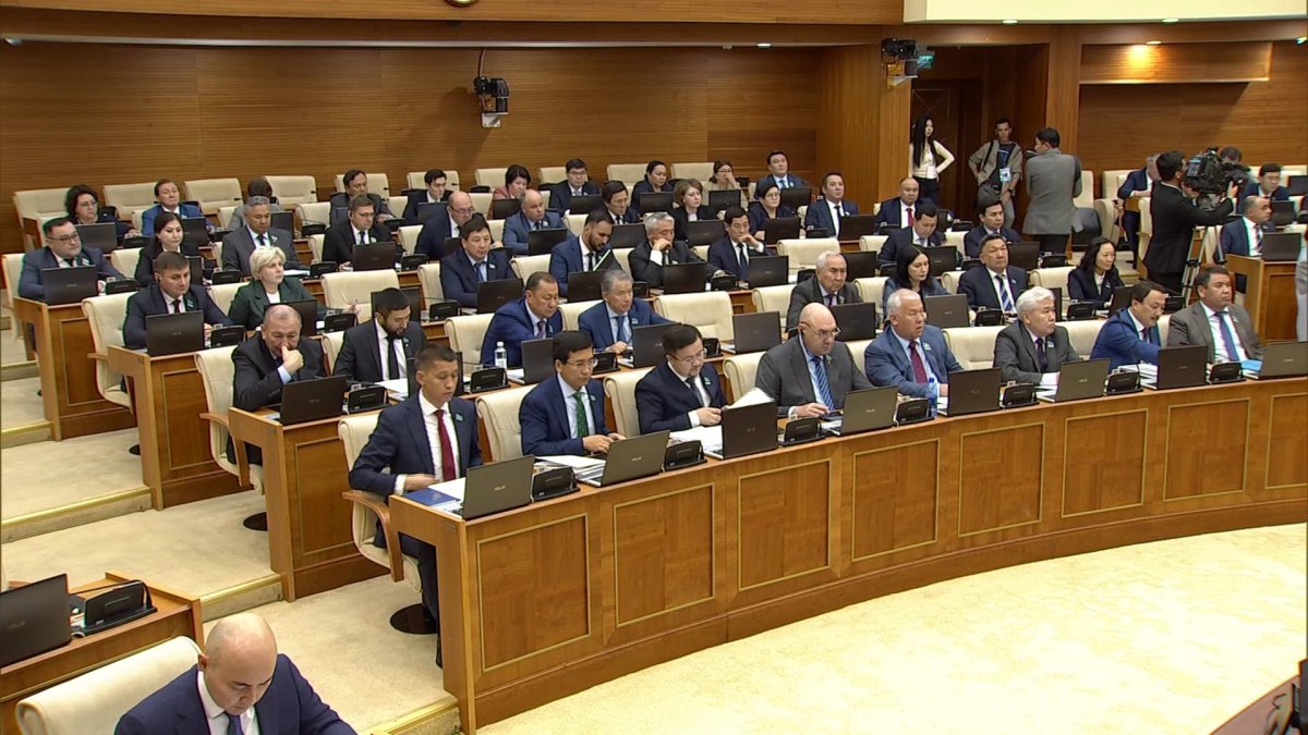 Мәжіліс Ұлттық қордан балаларға төлем жасау туралы заң жобасын мақұлдады