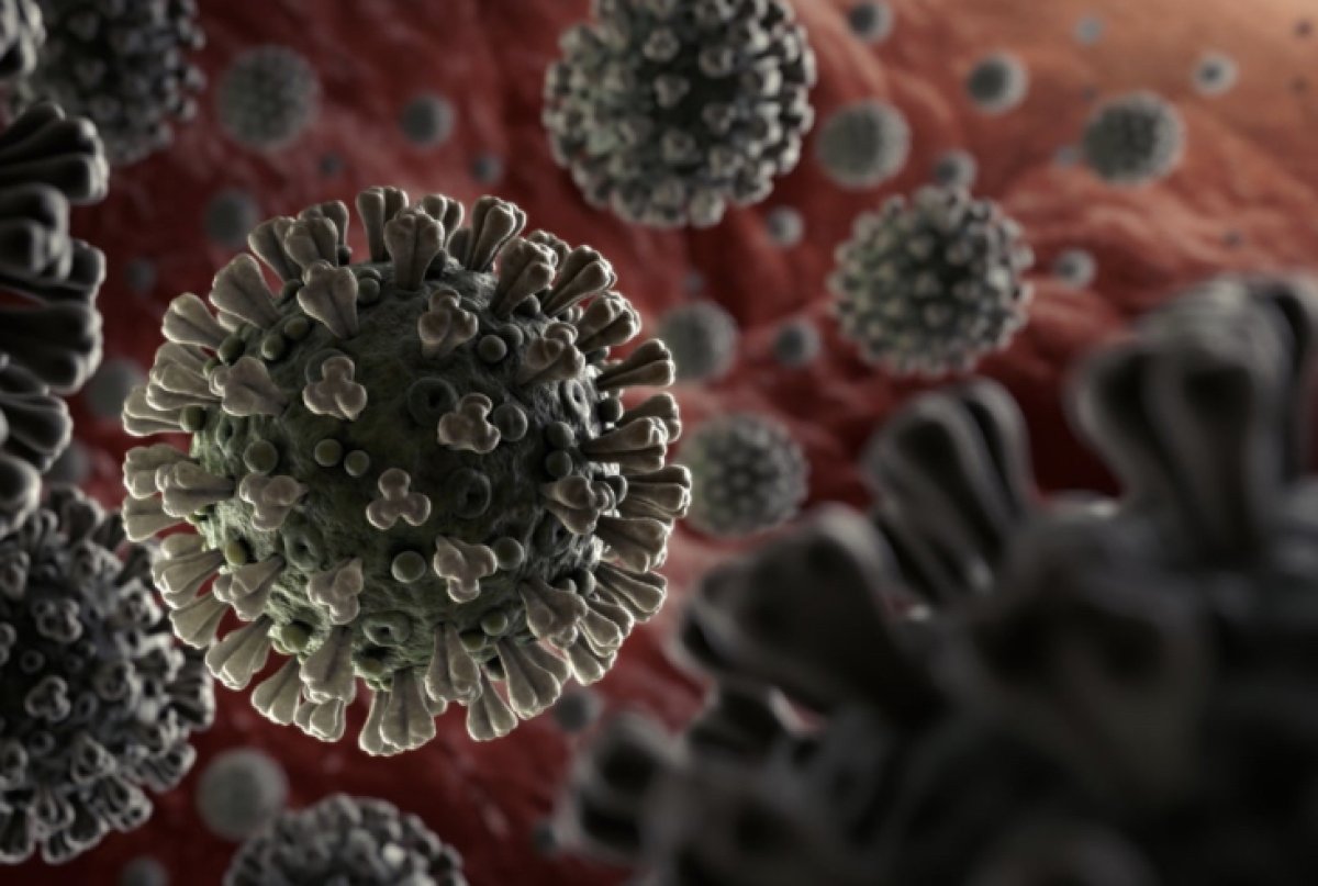 В мире вновь растет количество больных коронавирусом