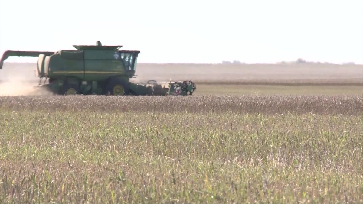 Толассыз жауыннан шығынға ұшыраған Тобыл өңіріндегі диқандарға көмек көрсетілетін болды