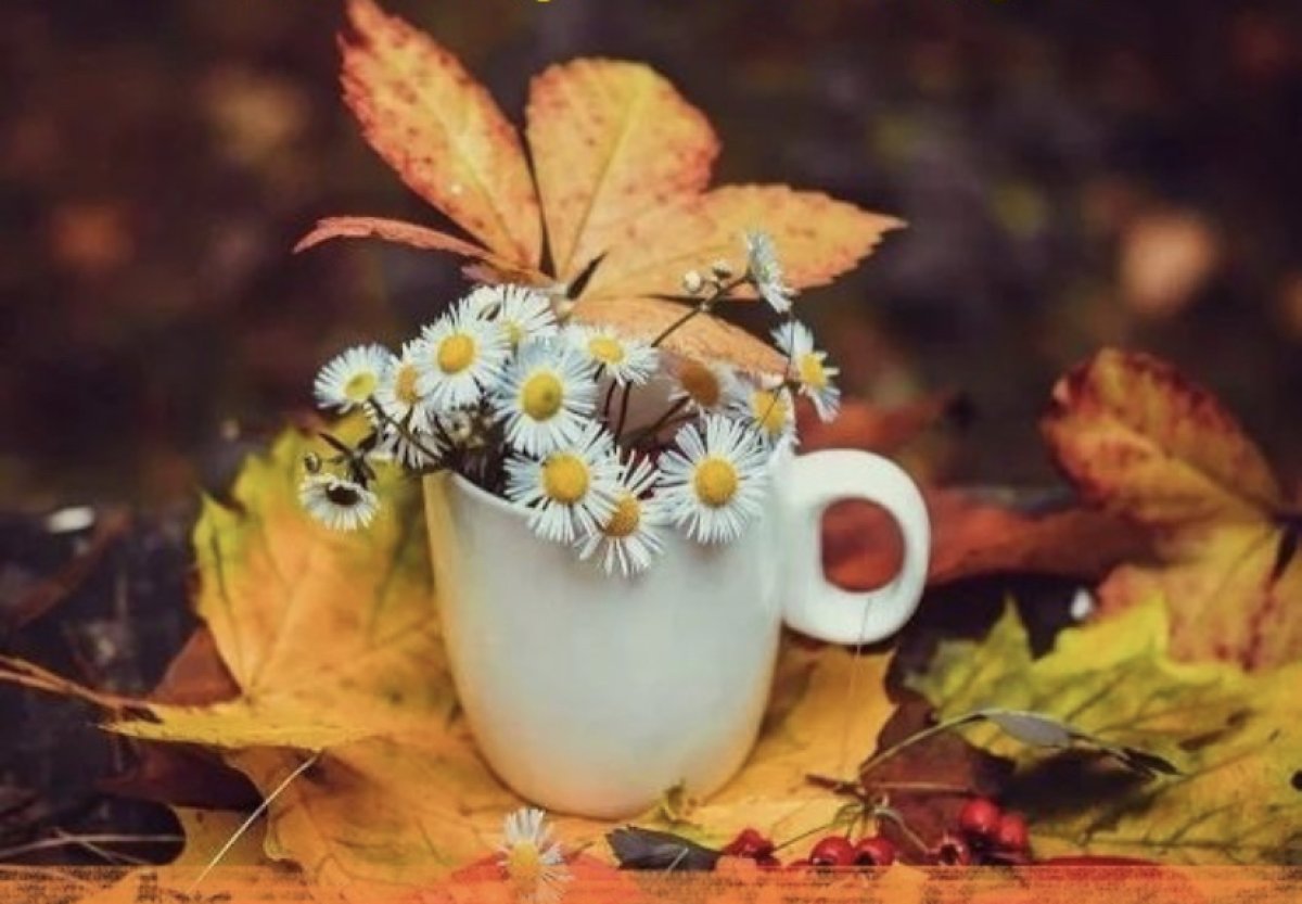 Весы будут нарасхват, Стрельцы, не берите в долг: гороскоп на воскресенье