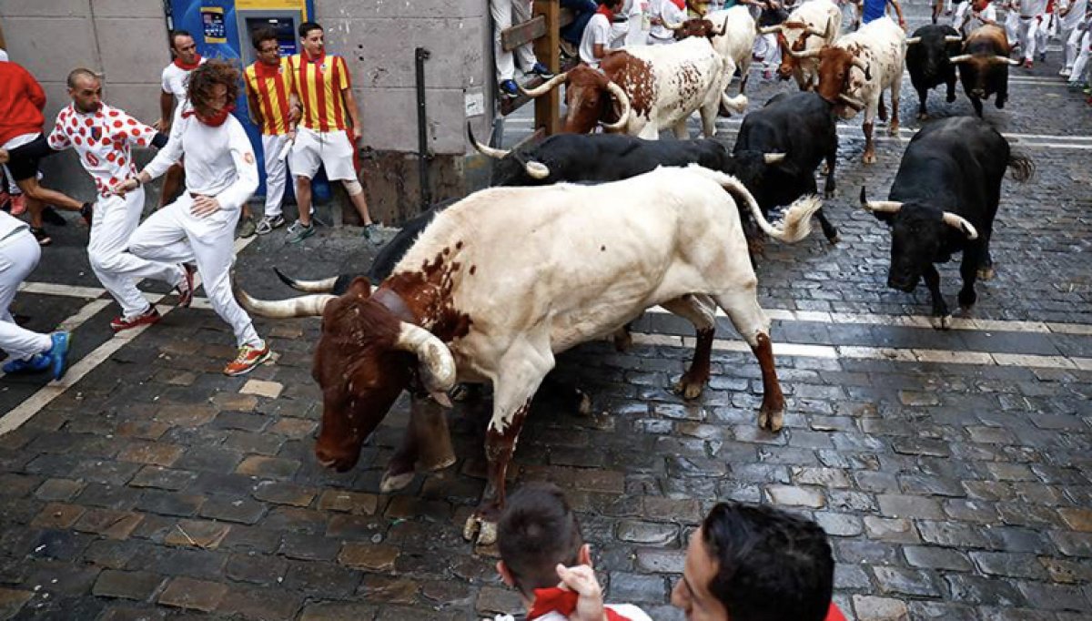 Бык насмерть забодал мужчину на фестивале в Испании