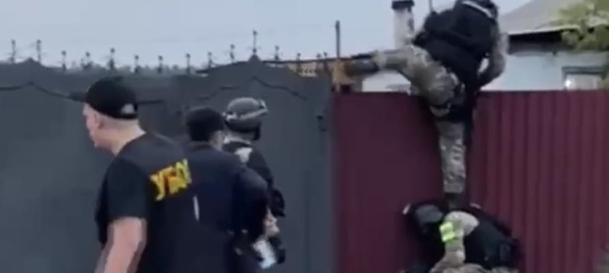 Масштабная спецоперация в резервате: руководство “Ертіс орманы” подозревают в расхищении леса