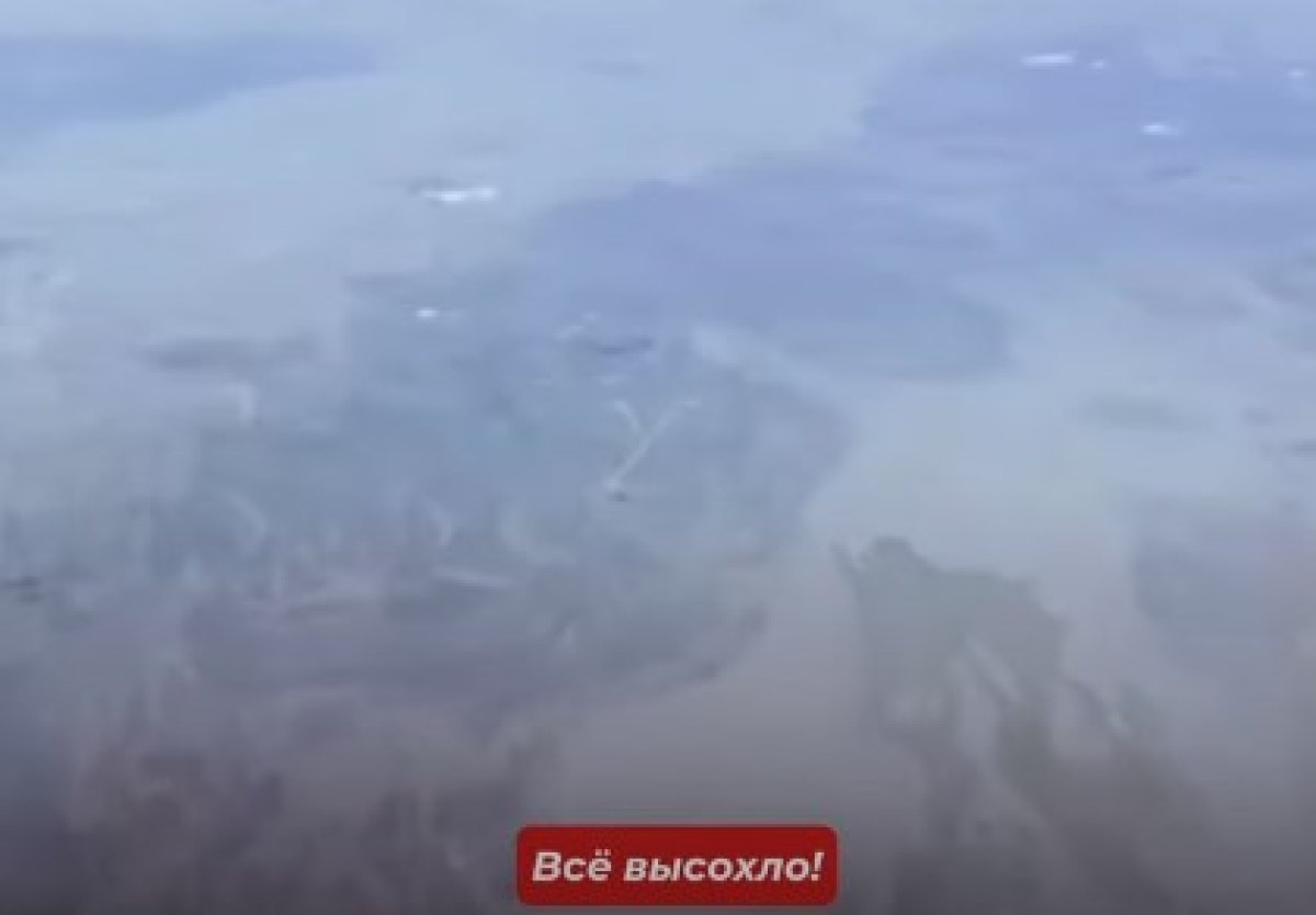"Воды нет!": высыхающий Каспий показал пилот с высоты полёта