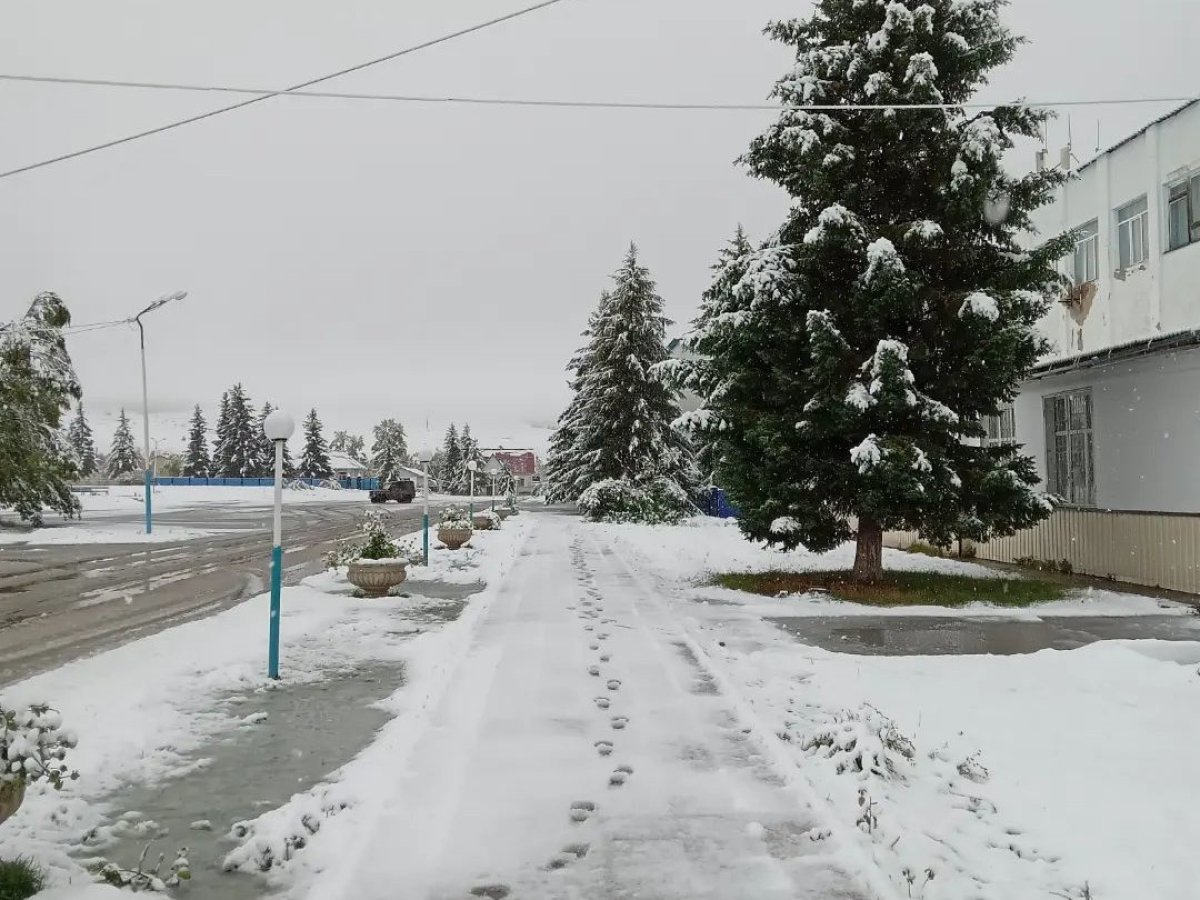 Жители ВКО делятся заснеженными пейзажами