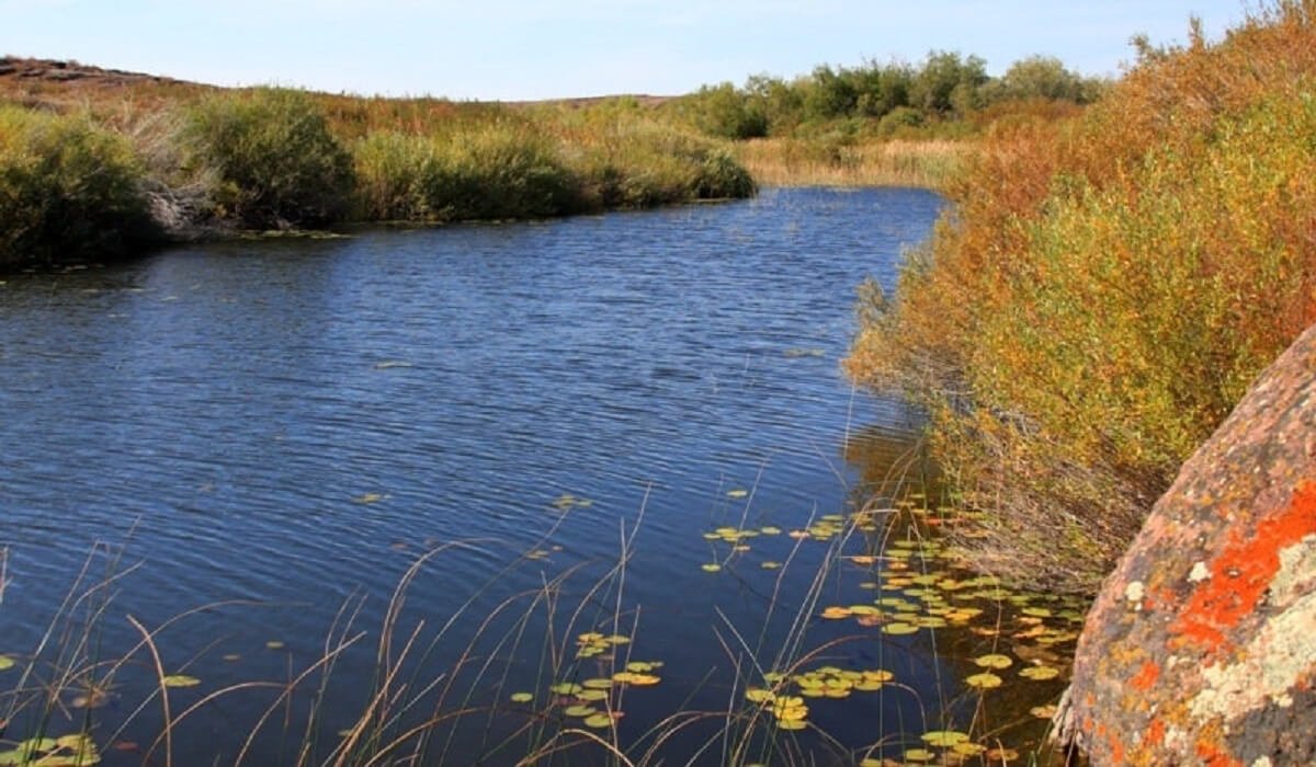 «Сасық суды ішуге мәжбүр»: депутат Ұлытаудағы Сарысу бассейні мәселесін көтерді