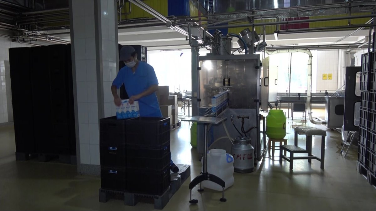 Шикі сүтті өңдеуге қатысты талап күшейеді