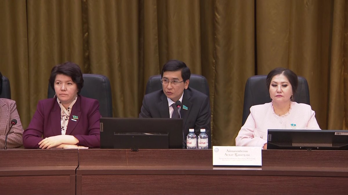 Депутаты Мажилиса обсудили проблемы в сфере медицины