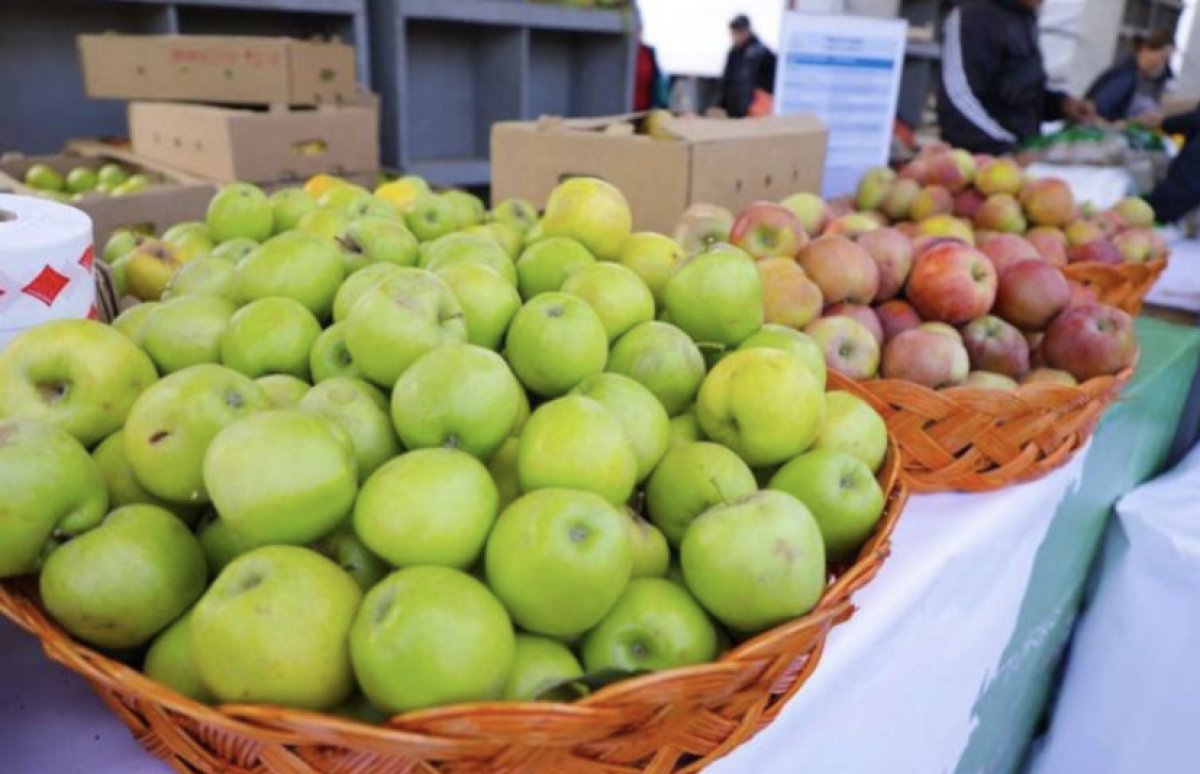 Сельскохозяйственные ярмарки начались в Астане