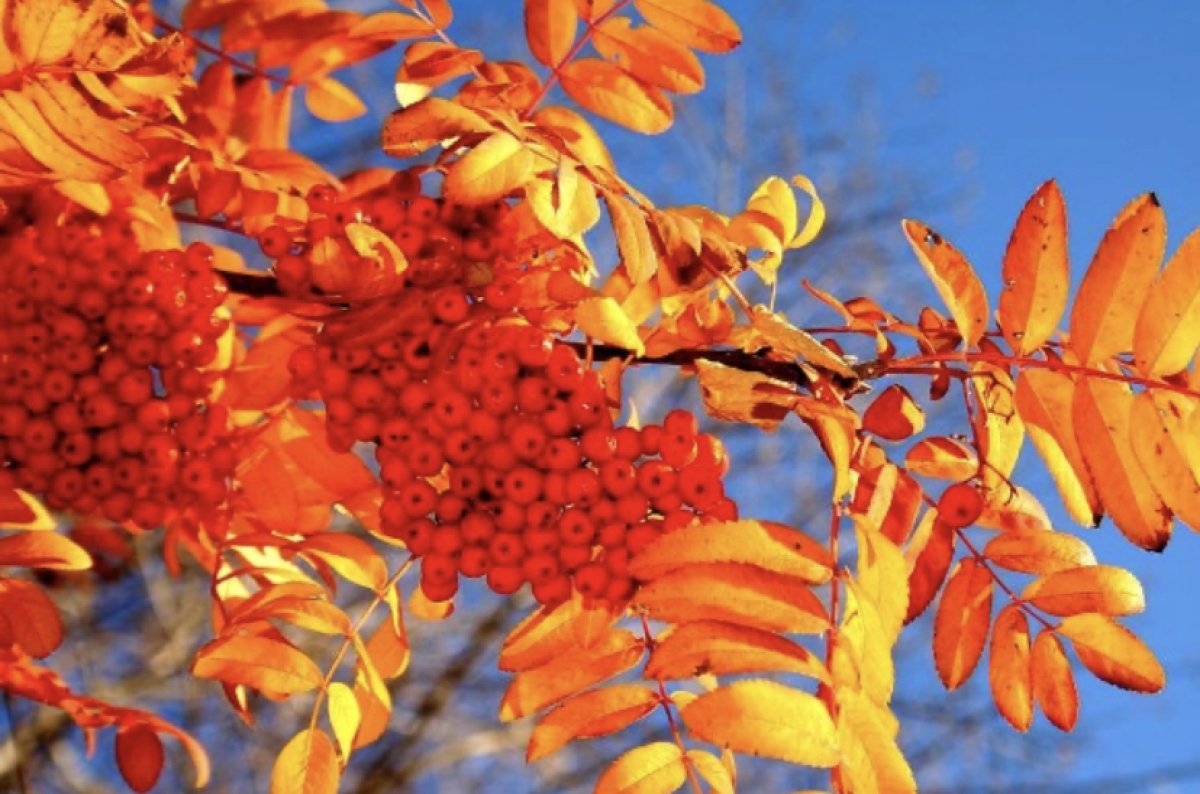 «Я календарь переверну…»: гороскоп на 3 сентября