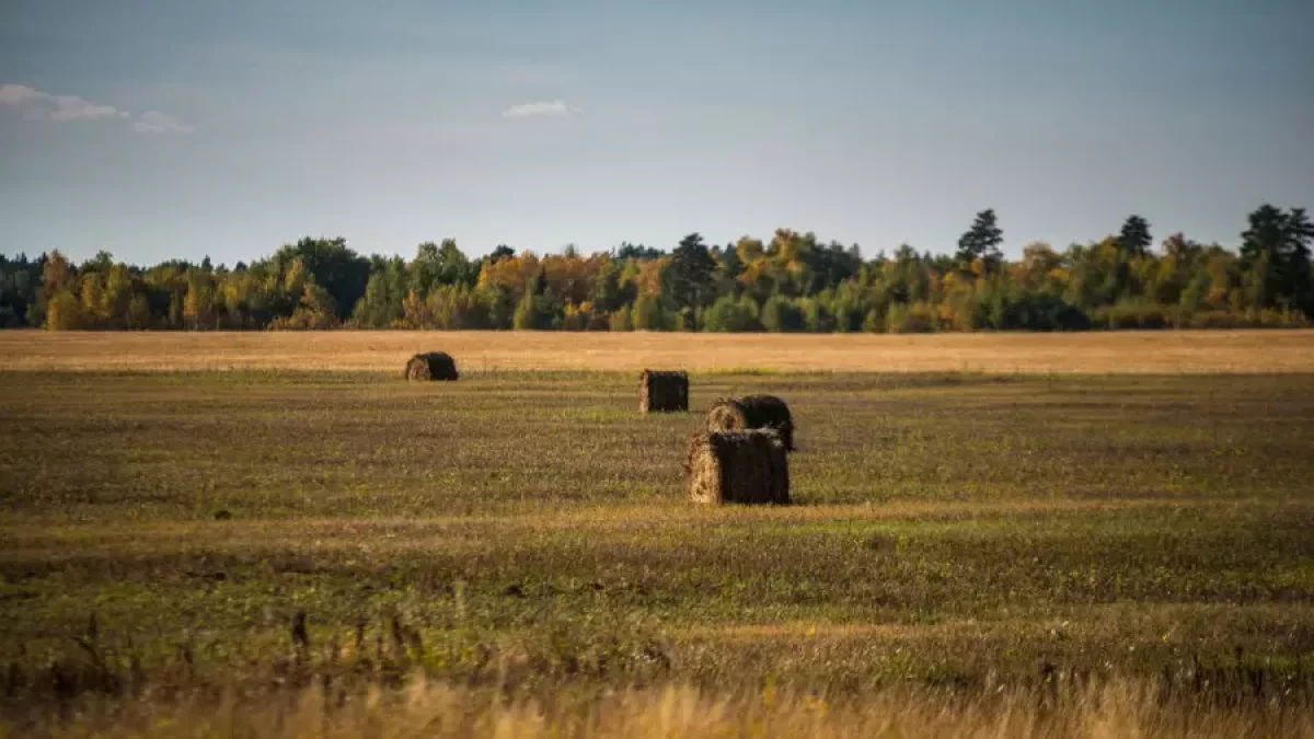 Қазақстанда 30 градус ыстық болады