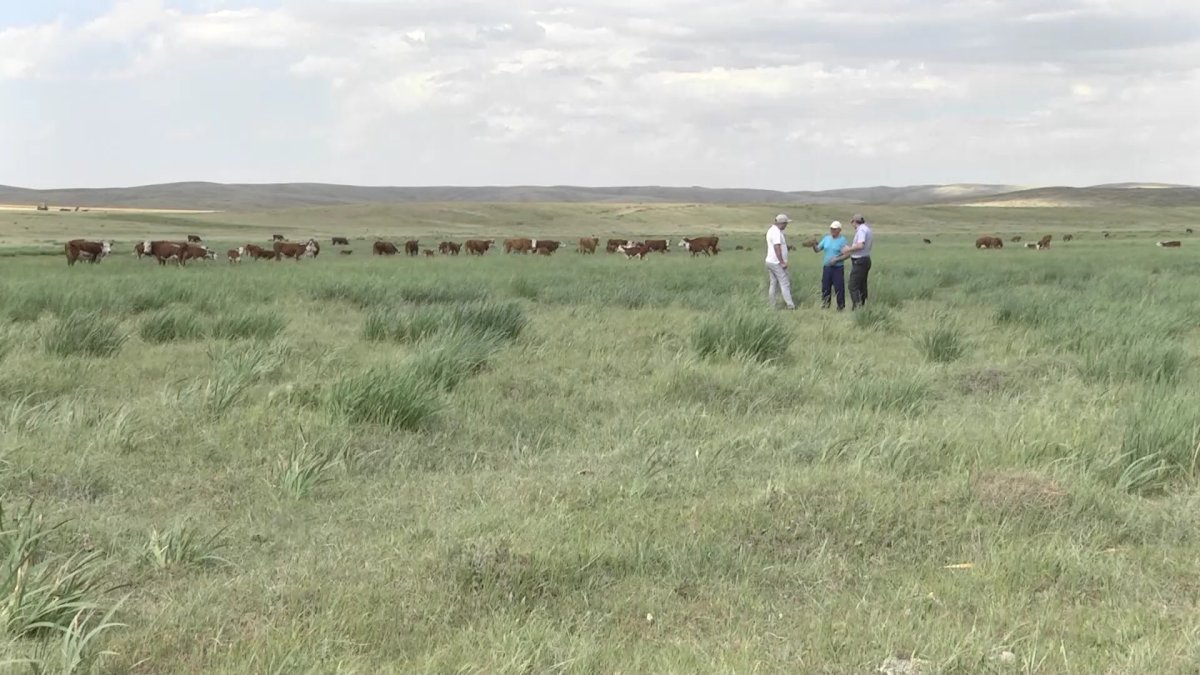 «Фермерлер 3 жылдан бері субсидияны уақытында алмайды», - Е. Саиров