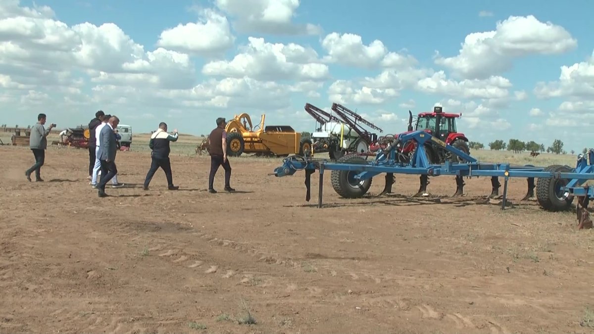"Появляются "виртуальные коровы", - Смышляева о проблемах цифровизации земельных отношений