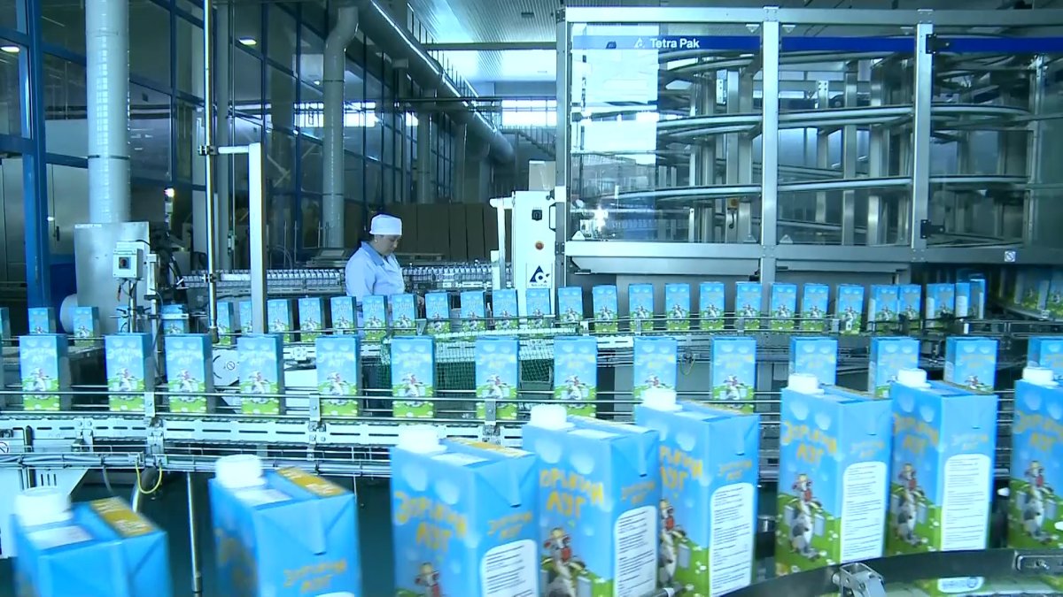 Қызылжарда қияр мен қызанақты топырақсыз өсіру технологиясы меңгеріліп жатыр