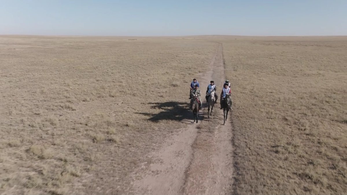 Команда из Северного Казахстана выбыла из конного марафона «Ұлы дала жорығы»