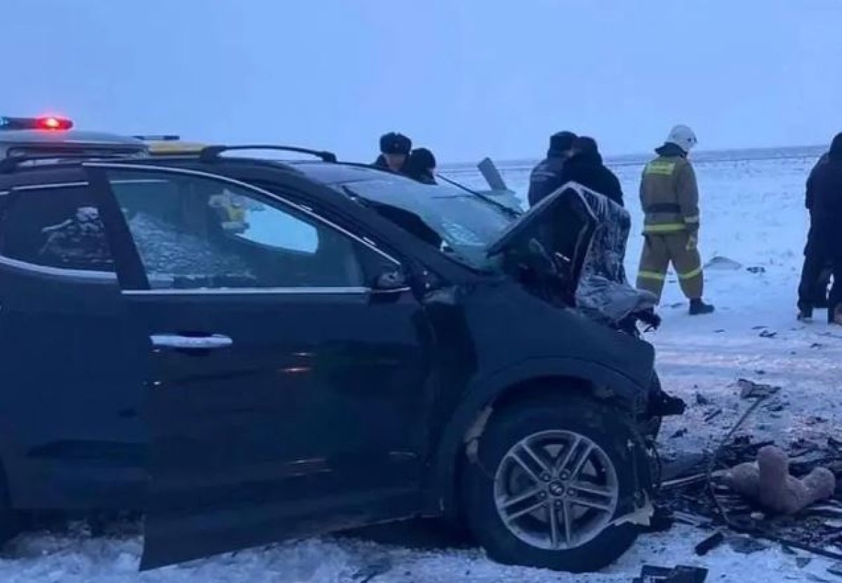 Годовалый малыш единственный выжил в аварии, где погибли 5 человек