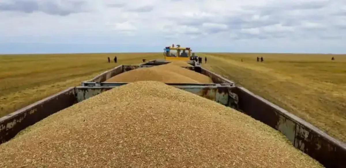 Қазақстан Қытайға астық жеткізуден жаңа рекорд орнатты